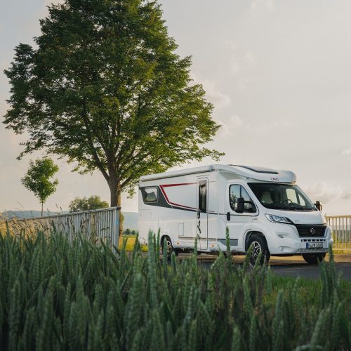 315845902_568191638592800_6988655100701392101_n